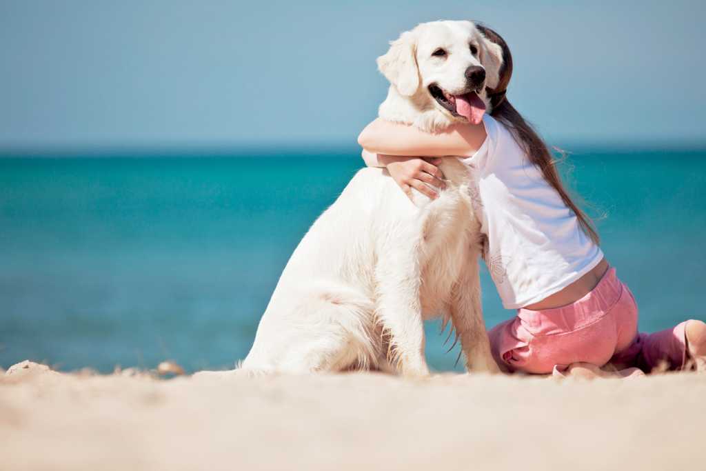 Estate 2018 Libero Accesso Agli Animali In Alcune Spiagge